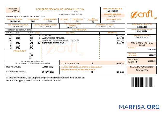 Blank Costa Rica Compania Nacional de Fuerza y Luz, S A CNFL business utility bill in word and pdf formats download for verification